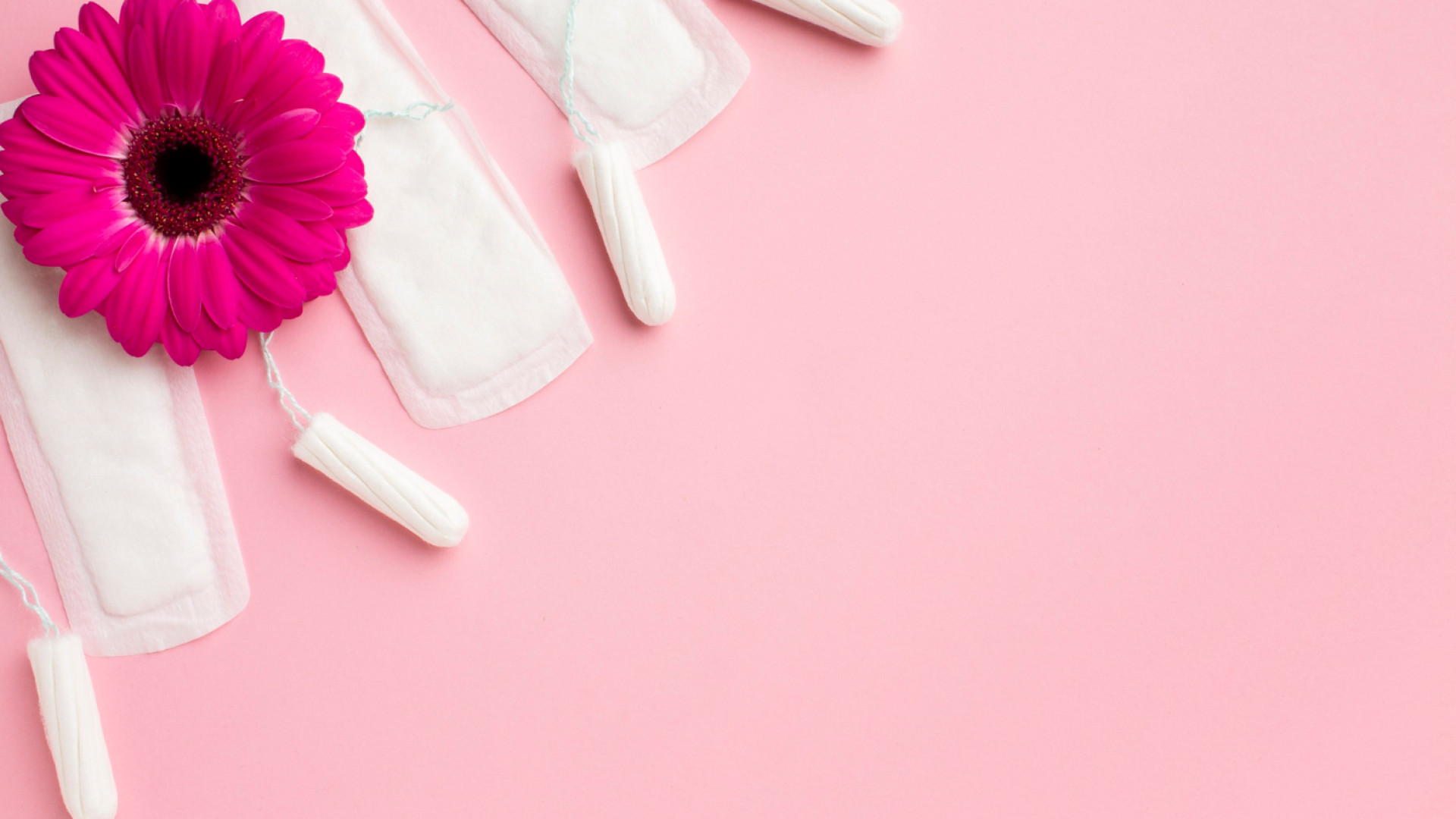 Distributeur de serviettes hygiéniques en lieu collectif : une réponse concrète à la précarité menstruelle